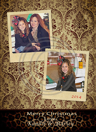 CC031 Safari Chic Christmas Card 5x7 Press Printed Front
